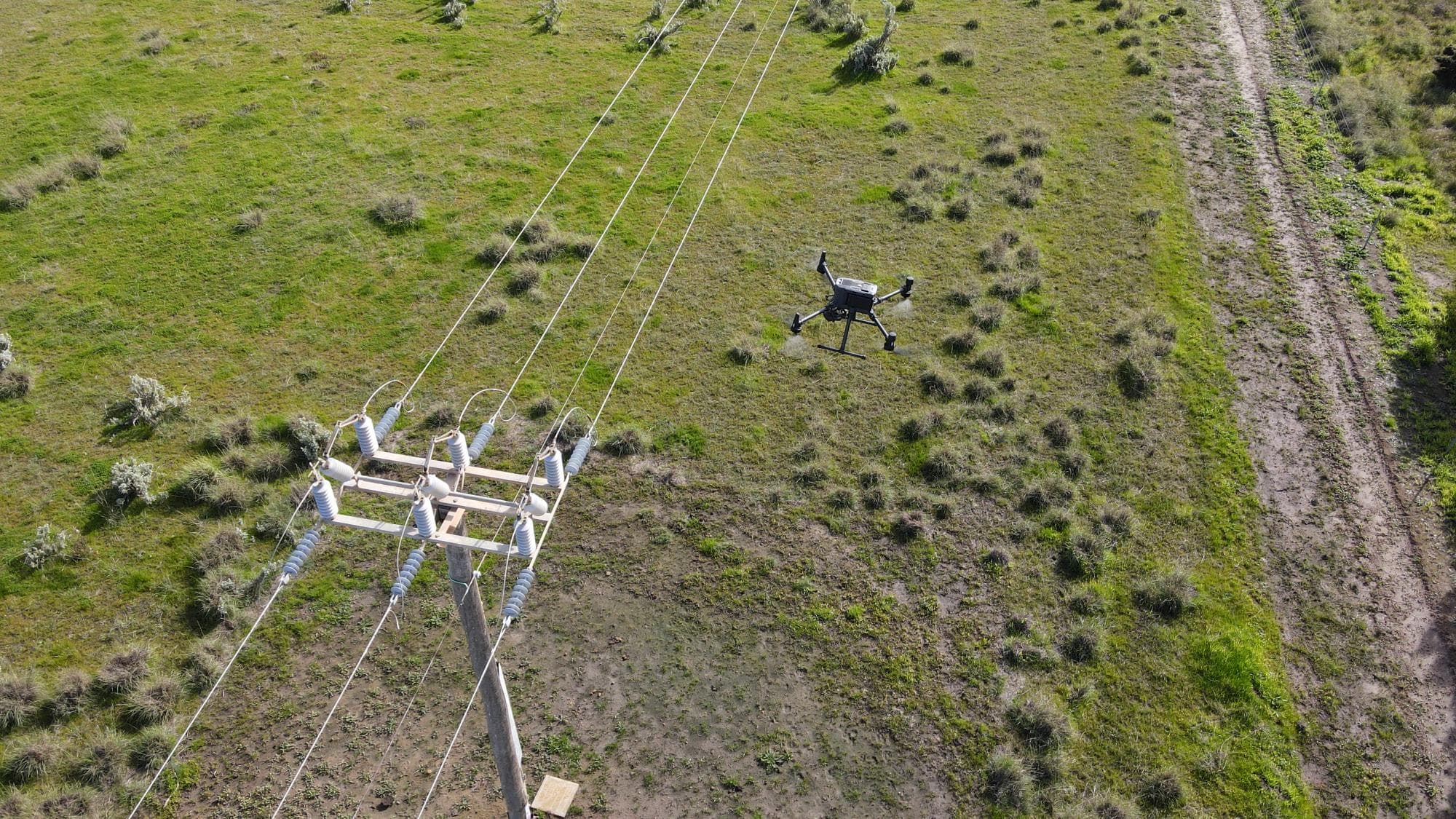Drone inspecting a distribution powerline pole