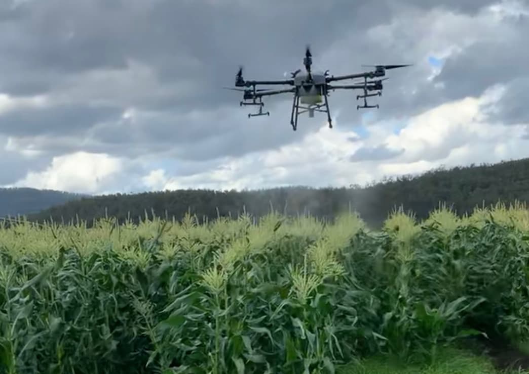 Drones in Agriculture