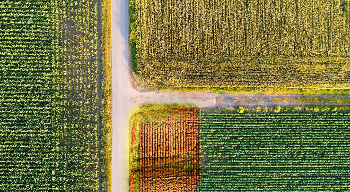 The Importance of Thermal Drone Inspections