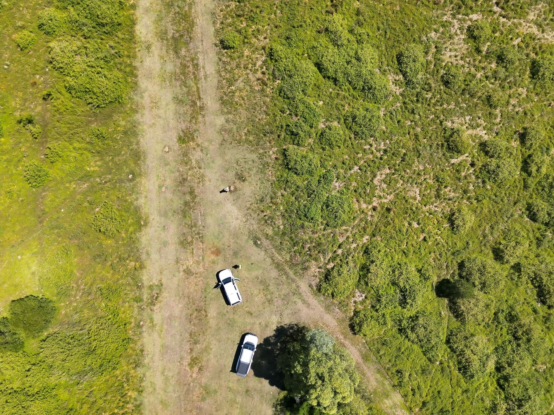 Time-matched RGB image from the same known-nest evaluation frame