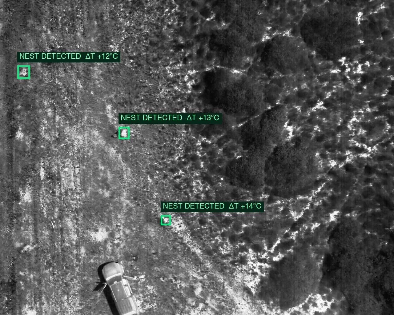 Radiometric thermal evaluation image with three reviewed known-nest references highlighted
