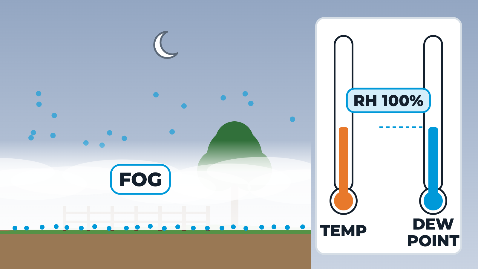 Humidity and Dew Point