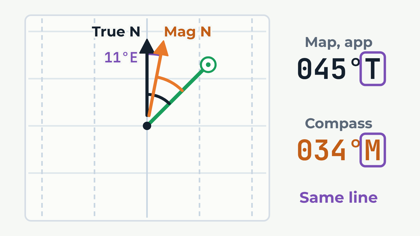 True or Magnetic?