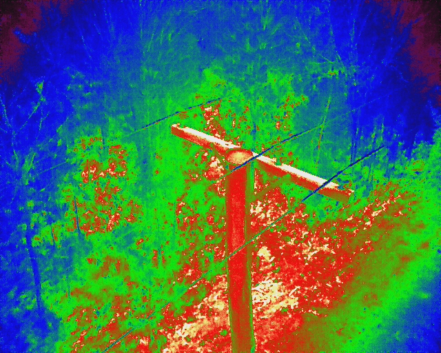 Thermal inspection view of a power pole and overhead conductors